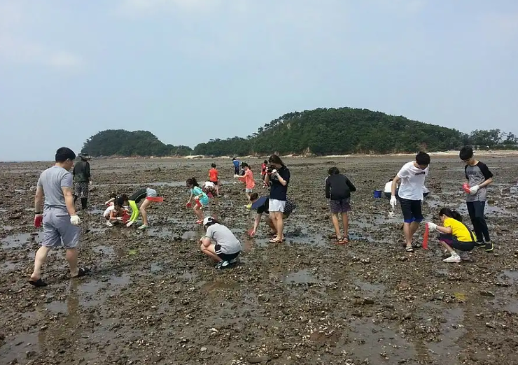 흘곶마을 갯벌체험