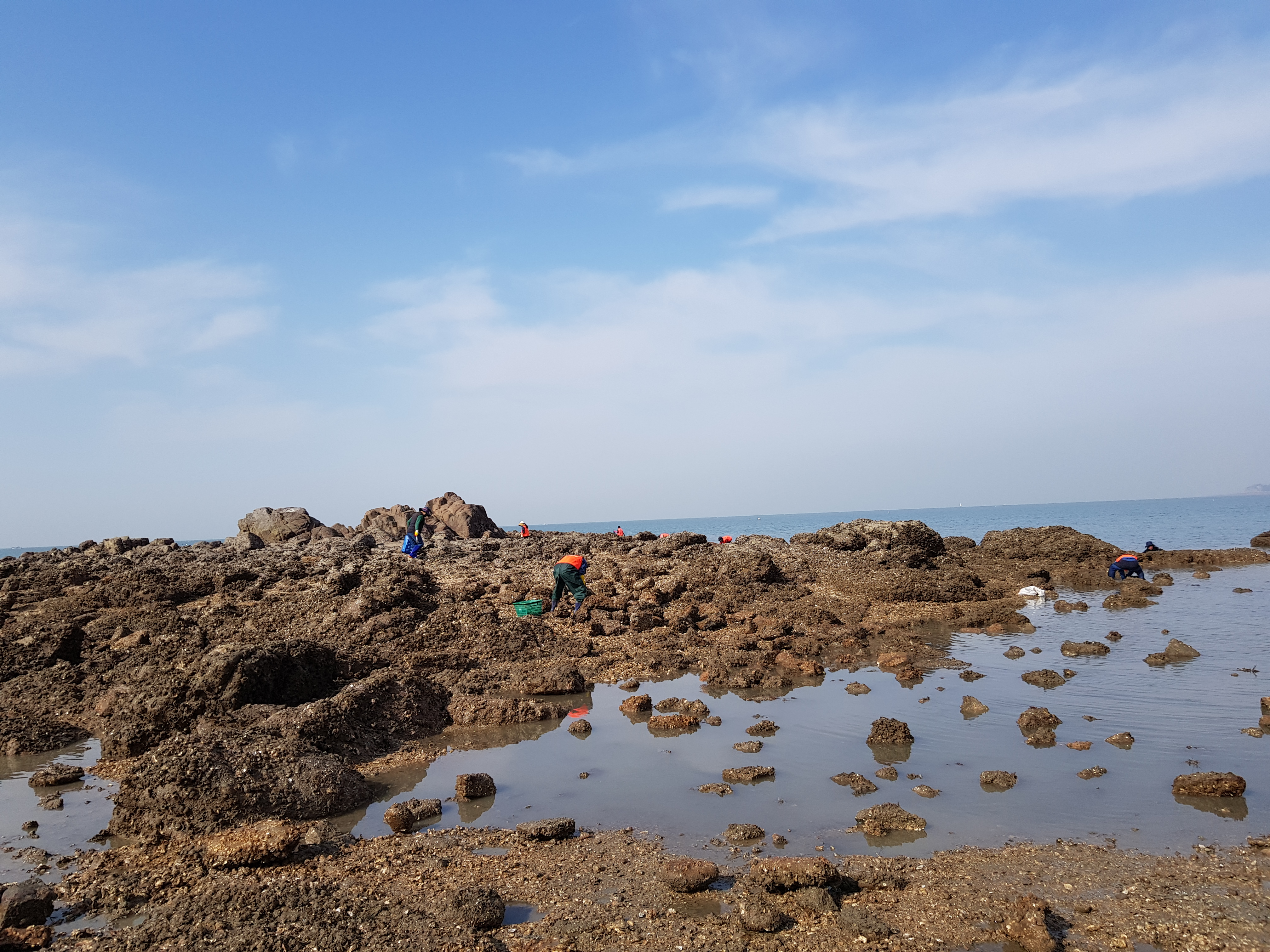 큰무리어촌체험휴양마을