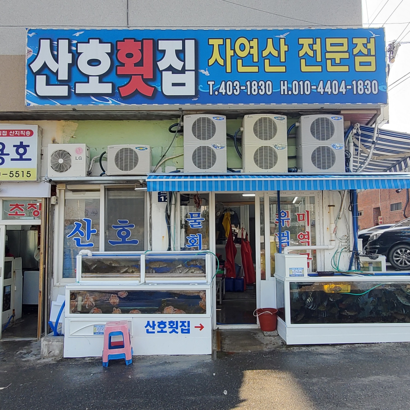 산호횟집