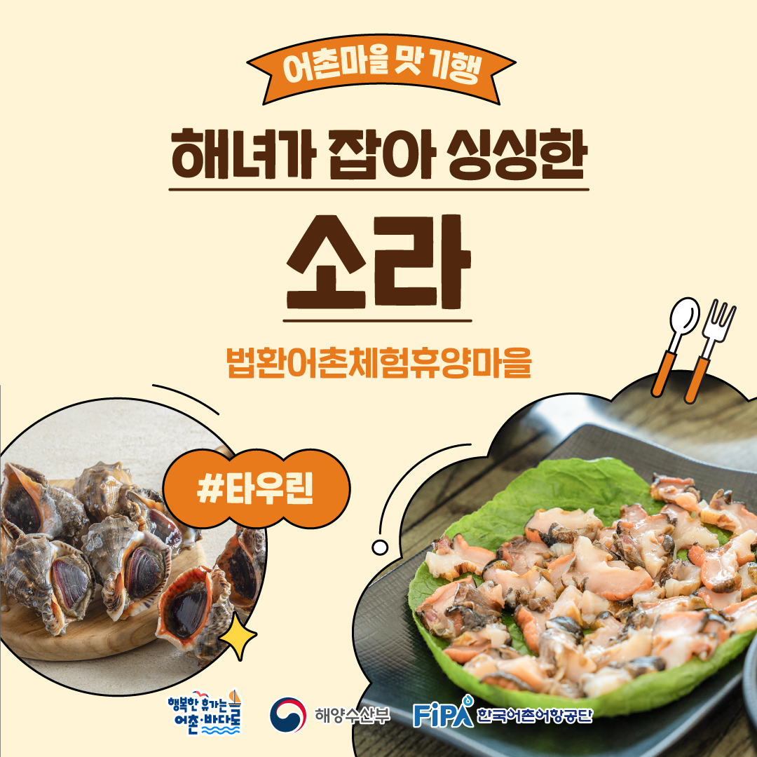 어촌마을 맛 기행 [소라-법환어촌체험휴양마을]