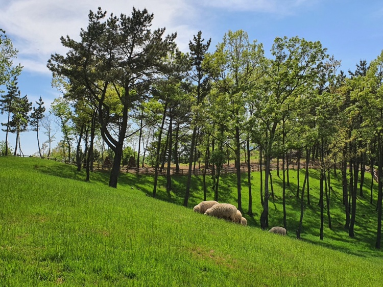 숲소리공원