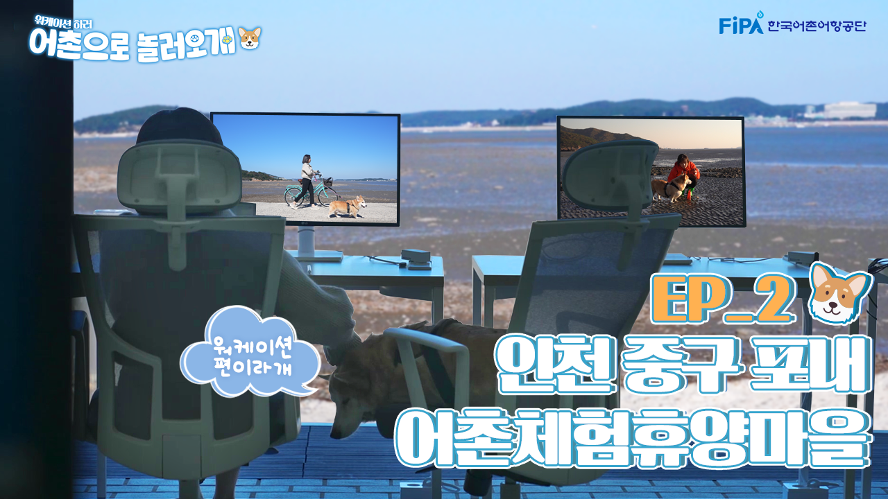 [어촌으로놀러오개] EP.02 포내어촌체험휴양마을에서 워케이션을 100% 만끽해보아요!