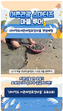 [어촌여행 숏폼영상] 어촌관광 스마터즈 마을 투어 [대이작도어촌체험휴양마을 갯벌체험]