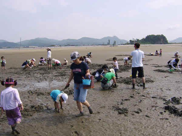 갯벌체험