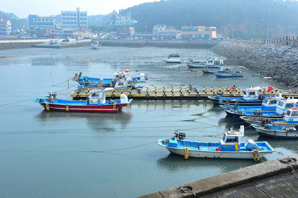 몽산포항