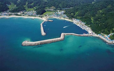 [백항백색(百港百色)] 동해 수중 비경을 만나는 스킨스쿠버의 메카, ‘울진 오산항’