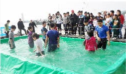 하동녹차 참숭어축제