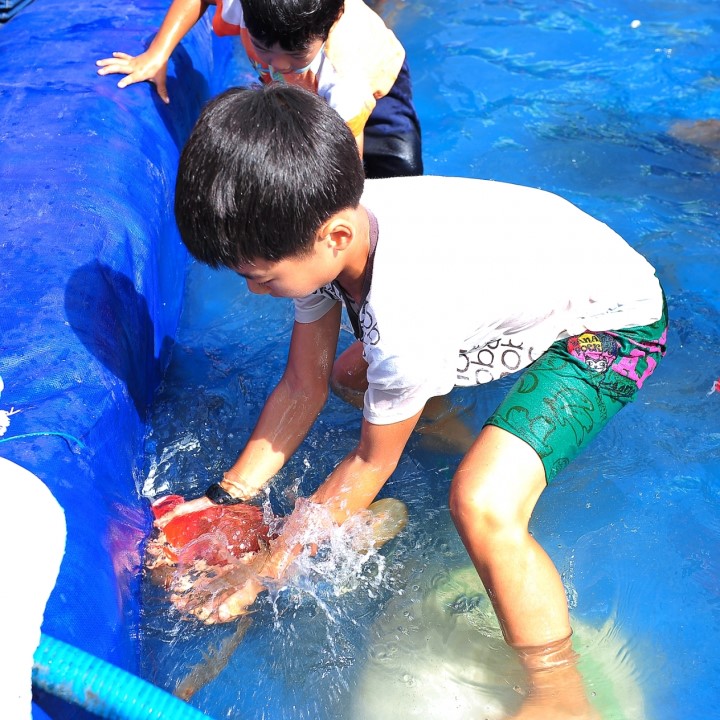 [쌍근마을]거제 쌍근마을 여름바다축제