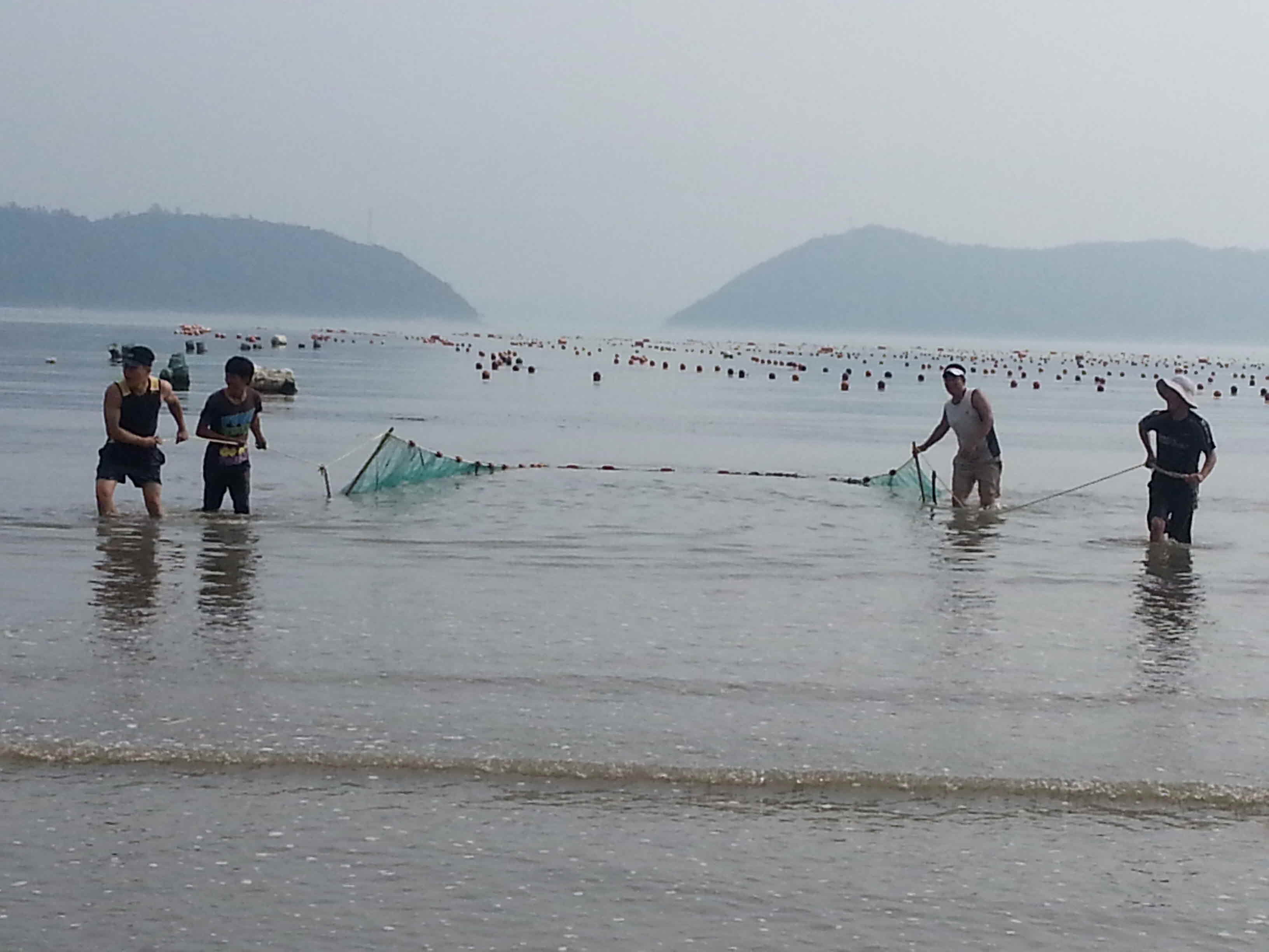 후릿그물고기잡이체험